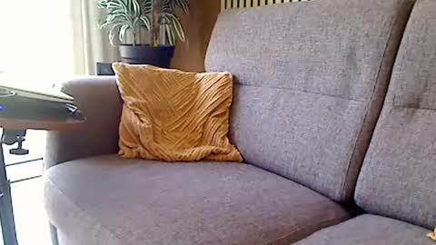 fun4couples online show from June 2026 09:46:02 AM