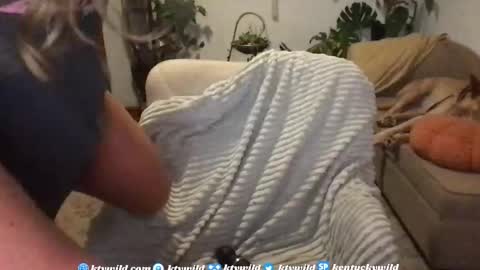   Thank you for visiting I hope you had fun 3 online show from November 2025 10:54:01 PM