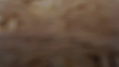 Snapshot of funcat01 chatting on February 2026 03:04:01 AM funcat01 online show from February 2026 03:04:01 AM