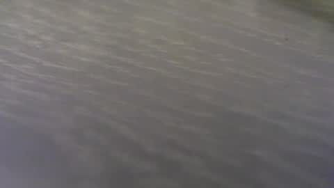 Snapshot of funone8848 chatting on September 2025 01:42:02 AM funone8848 online show from September 2025 01:42:02 AM