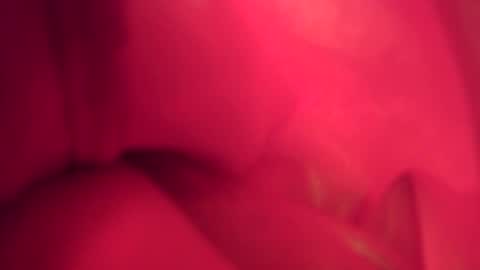 Snapshot of funtimes01234 chatting on November 2025 07:24:01 PM funtimes01234 online show from November 2025 07:24:01 PM