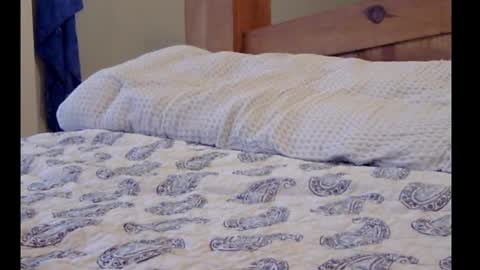 Funtimz16 online show from March 2025 09:00:01 AM