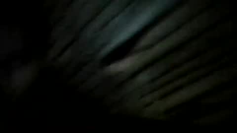 Snapshot of fuxkhergood2 chatting on December 2024 07:28:02 PM YoungBullAl online show from December 2024 07:28:02 PM