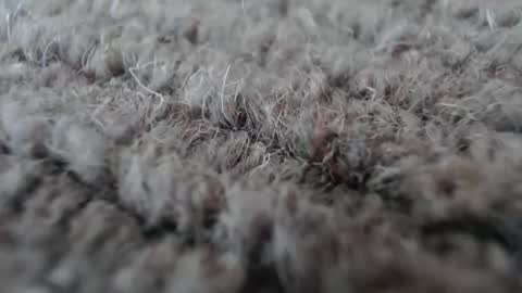 Mark online show from January 2026 05:11:02 AM