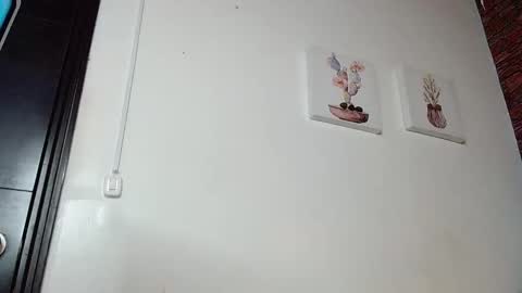 FIRE AND FOX online show from March 2025 11:00:02 PM