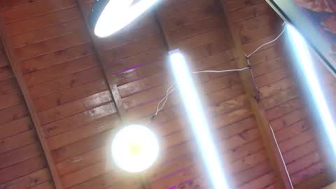 gabriela online show from October 2025 07:09:02 PM