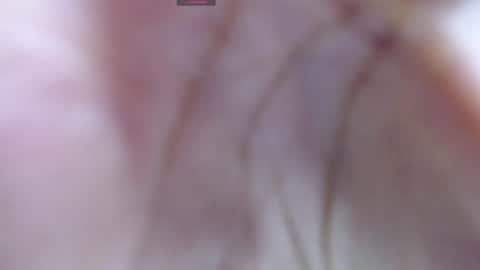 Snapshot of gabriela_morales01 chatting on December 2024 05:31:02 AM . online show from December 2024 05:31:02 AM