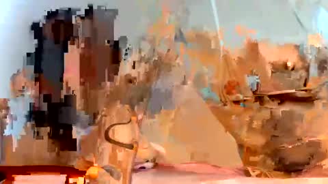 Dani online show from January 2025 11:37:02 AM