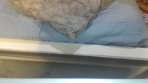 gabysot online show from April 2026 04:07:01 PM