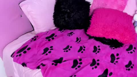 gabyye capprins online show from February 2025 10:19:01 PM