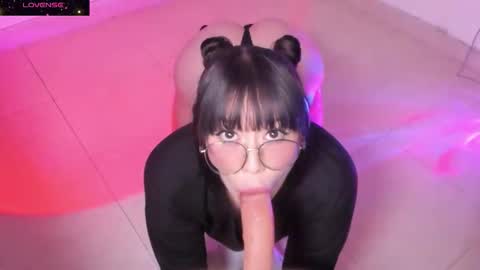 PROXIMO SHOW NOVIEMBRE 16   NEXT SHOW NOVEMBER  16    online show from October 2025 12:11:01 AM