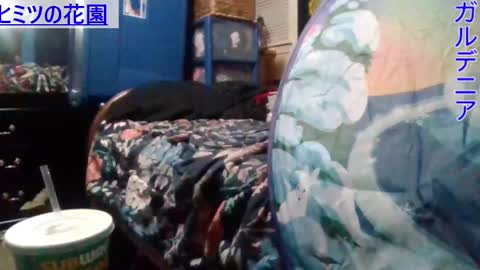 Gardenia online show from December 2024 12:37:02 AM