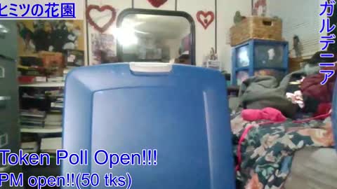 Gardenia online show from January 2025 07:55:02 AM