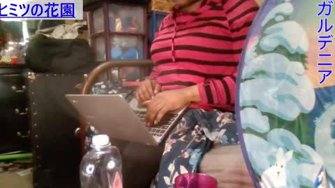 Gardenia online show from January 2025 09:03:01 PM