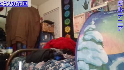 Gardenia online show from January 2025 07:37:01 AM