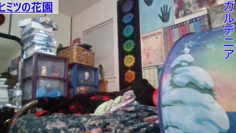 Gardenia online show from February 2025 07:09:02 AM