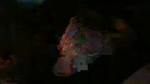 gardnseed online show from April 2026 06:55:02 AM