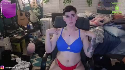 HarperxLotus online show from December 2025 02:54:02 AM