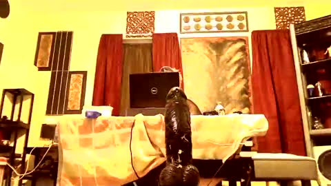 gatewaylaptop2019 online show from March 2025 07:56:02 AM