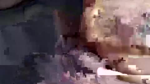 Snapshot of gatinhow82 chatting on March 2026 02:50:01 AM gatinhow82 online show from March 2026 02:50:01 AM