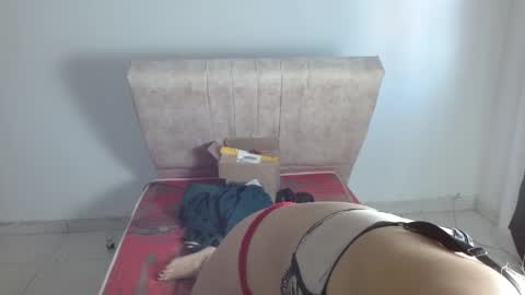 gatita13333321 online show from January 2025 01:42:02 PM