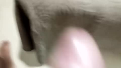 Snapshot of gatysyt666 chatting on March 2026 03:28:02 AM gatysyt666 online show from March 2026 03:28:02 AM