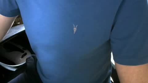 gay slave on cam online show from October 2025 09:40:01 AM