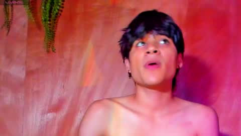 HAN online show from February 2026 01:20:01 PM