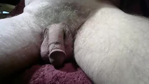 gemini_2 online show from March 2026 09:31:02 PM