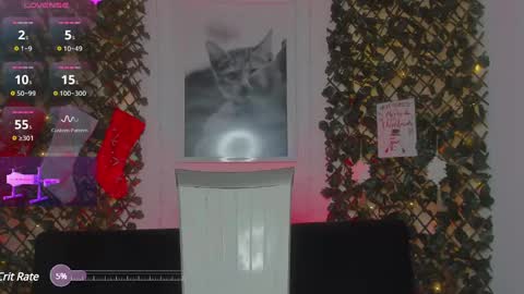 Geminis online show from January 2025 06:54:01 AM