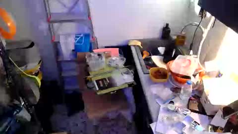 georgempt online show from January 2025 09:24:01 AM