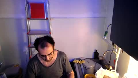 georgempt online show from January 2025 05:40:02 AM