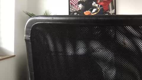 Snapshot of german3003 chatting on October 2025 09:46:02 AM german3003 online show from October 2025 09:46:02 AM