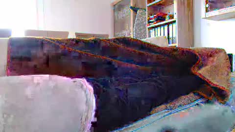 Snapshot of germanandy71 chatting on December 2024 12:12:02 PM germanandy71 online show from December 2024 12:12:02 PM