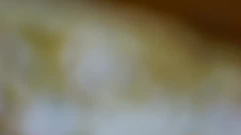 Snapshot of germanandy71 chatting on November 2025 01:34:02 PM germanandy71 online show from November 2025 01:34:02 PM