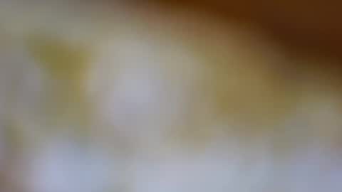 Snapshot of germanandy71 chatting on November 2025 09:19:02 AM germanandy71 online show from November 2025 09:19:02 AM