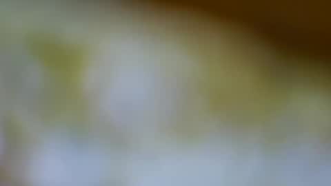 Snapshot of germanandy71 chatting on November 2025 12:00:02 PM germanandy71 online show from November 2025 12:00:02 PM