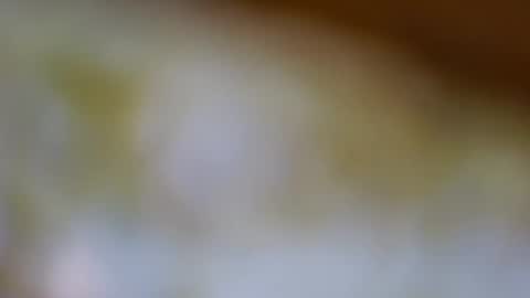 Snapshot of germanandy71 chatting on November 2025 08:14:01 AM germanandy71 online show from November 2025 08:14:01 AM