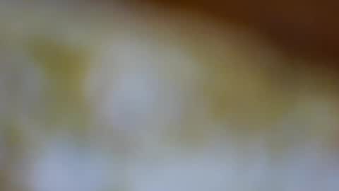 Snapshot of germanandy71 chatting on November 2025 08:58:01 AM germanandy71 online show from November 2025 08:58:01 AM