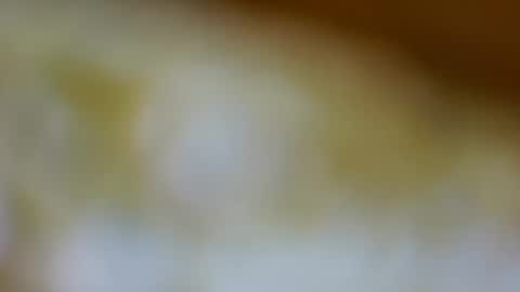 Snapshot of germanandy71 chatting on November 2025 09:10:01 AM germanandy71 online show from November 2025 09:10:01 AM