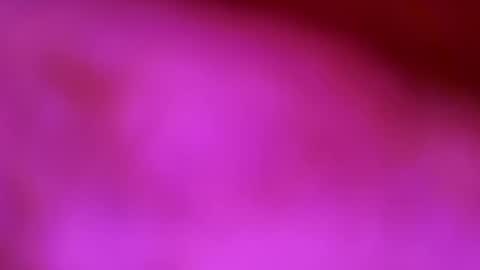 Snapshot of germanandy71 chatting on December 2025 08:52:01 AM germanandy71 online show from December 2025 08:52:01 AM