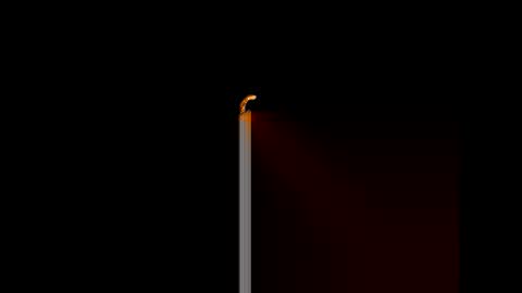 gerson229 online show from January 2026 12:11:01 PM