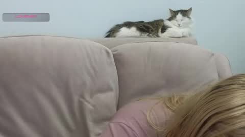 Gerta online show from February 2026 09:15:02 PM