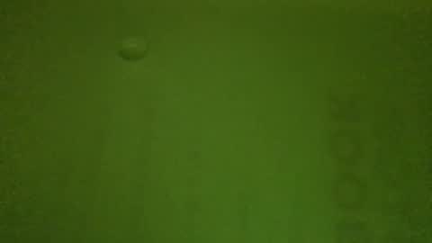 getfucked321jake online show from December 2024 12:05:02 PM