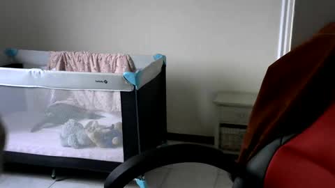 Gisse online show from February 2025 07:55:02 AM