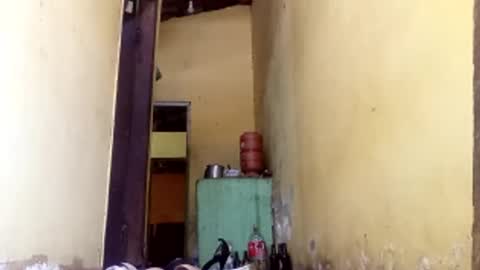 Gaby online show from October 2025 02:15:01 PM