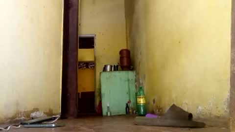 Gaby online show from January 2026 06:00:02 PM