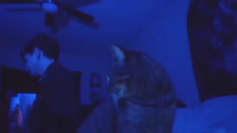 SrirachaSwitchblade  online show from November 2025 08:57:01 AM