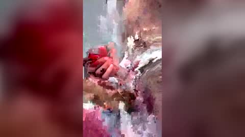 gifted online show from April 2026 07:29:02 PM