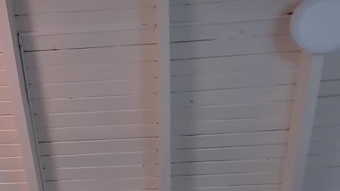 gigi wilden online show from February 2025 02:10:01 PM